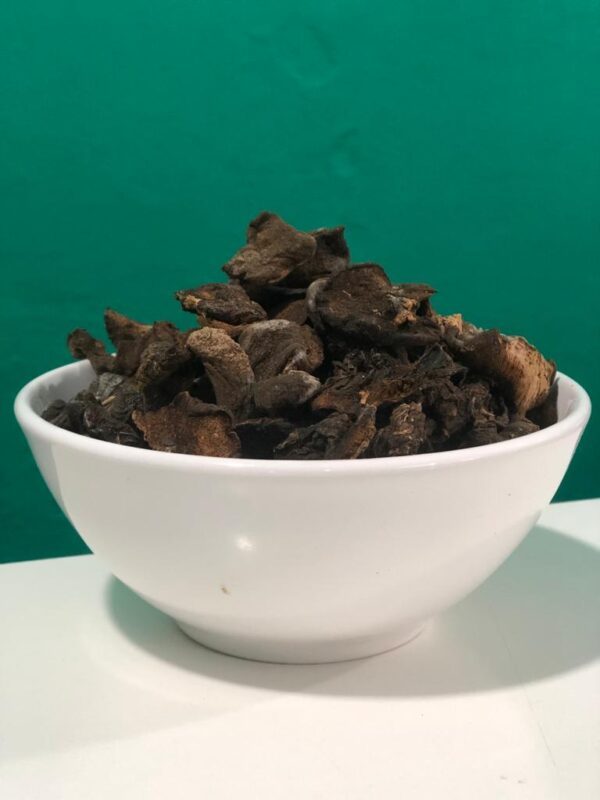 funghi