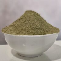 Moringa em Pó