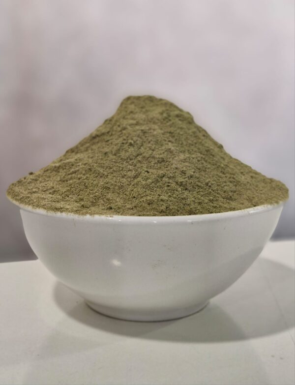 Moringa em Pó