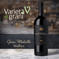 Vinho Trapiche Gran Medalla