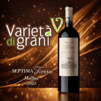 Vinho Septima Tierra Malbec