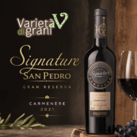 Vinho Signature San Pedro